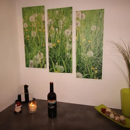 Appartement Romantikstadt Steyr Room photo