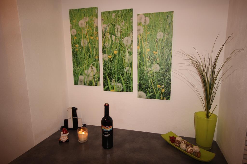 Apartment Romantikstadt Steyr